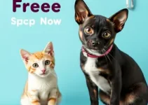 castração gratuita de cães e gatos