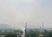 mau cheiro Sorocaba