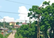 Câmara Municipal de Sorocaba