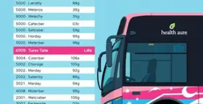 Ônibus Azul e Rosa da Saúde