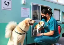 Consultório Veterinário Móvel