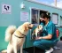 Consultório Veterinário Móvel