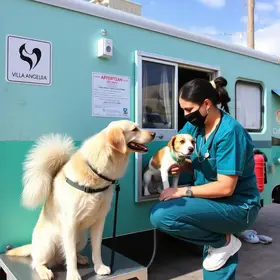 Consultório Veterinário Móvel