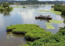 biodiversidade do Rio Sorocaba