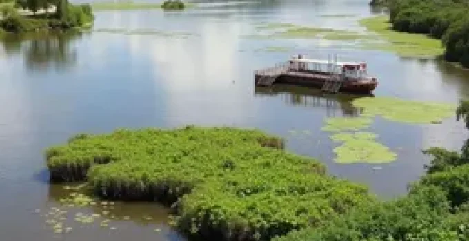 biodiversidade do Rio Sorocaba