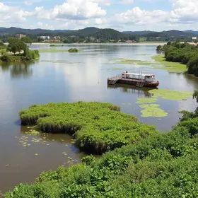 biodiversidade do Rio Sorocaba