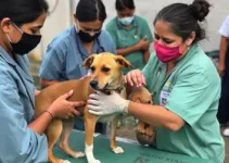 Câmara Municipal de Sorocaba