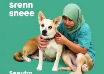 Câmara Municipal de Sorocaba