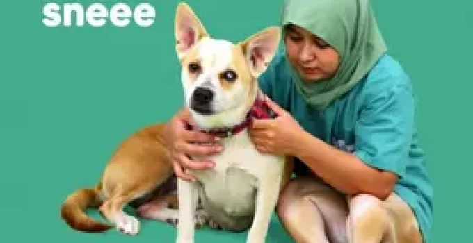 Câmara Municipal de Sorocaba