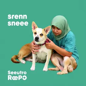 Câmara Municipal de Sorocaba