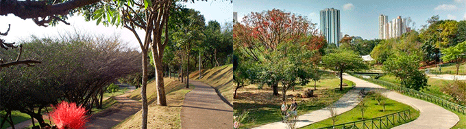 Pista de Caminhada Campolim Sorocaba Pista de Caminhada Campolim Sorocaba