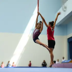 ginástica artística