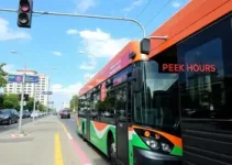 Linha Rosa e Ônibus Sensorial em Sorocaba