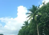 previsão do tempo em Sorocaba (SP)