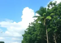 previsão do tempo em Sorocaba (SP) hoje