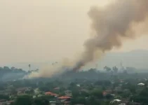 mau cheiro zona leste sorocaba