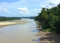 Saae/Sorocaba