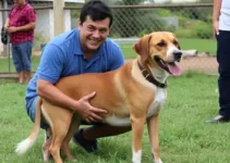 Câmara Municipal de Sorocaba