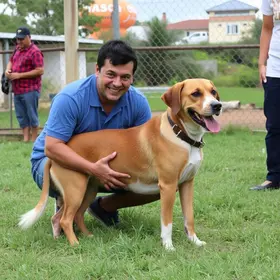 Câmara Municipal de Sorocaba