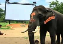 Zoo de Sorocaba