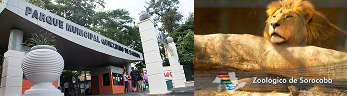 Zoológico Municipal de Sorocaba